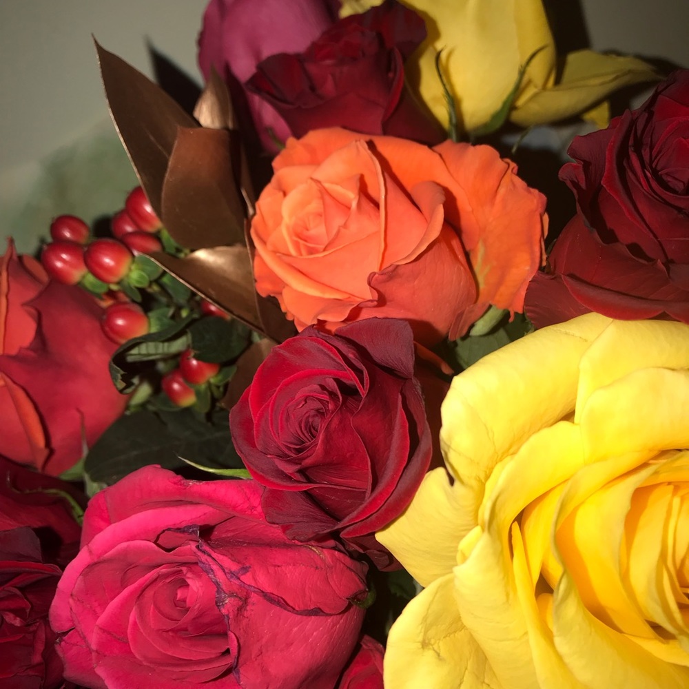 Meet your Posher, Madalynn